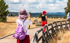 迈开腿让我捅你的草莓不盖被子
